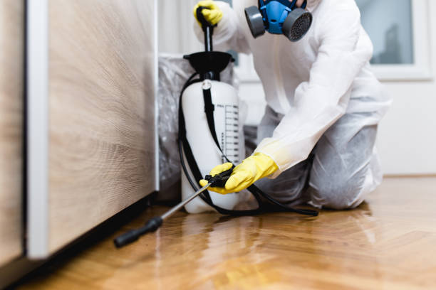 Best Ant Control Services  in Silver Creek, NY