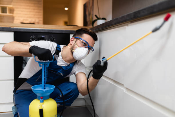 Best Pest Control Near Me in Silver Creek, NY