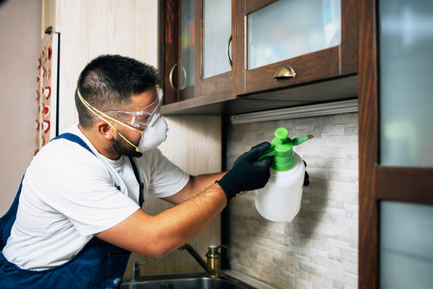 Best Termite Control Services  in Silver Creek, NY