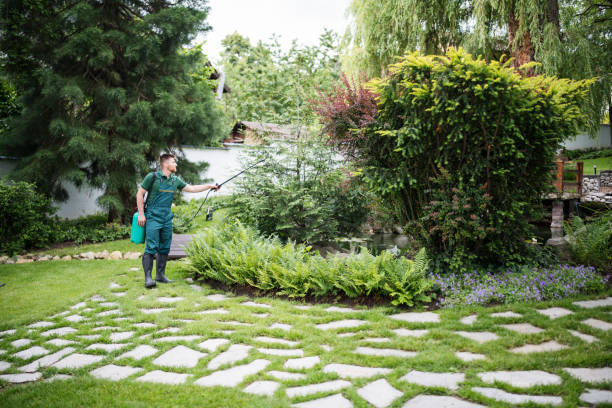 Best Pest Control Near Me  in Silver Creek, NY