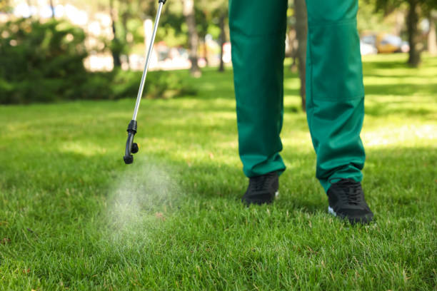 Best Residential Pest Control  in Silver Creek, NY