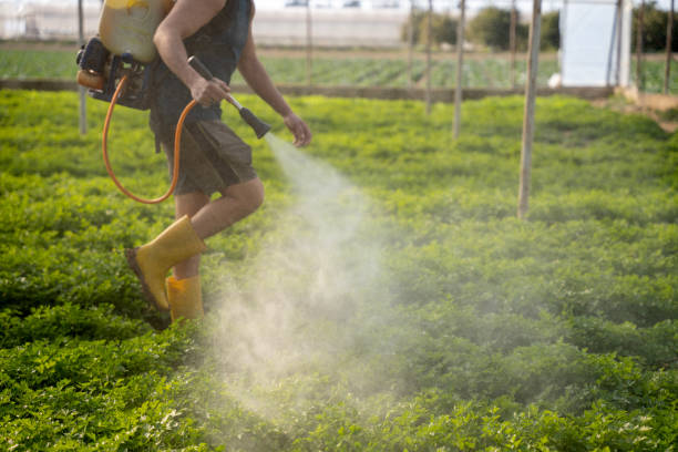 Best Pest Control Treatment  in Silver Creek, NY