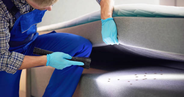 Best Rat Extermination Near Me  in Silver Creek, NY