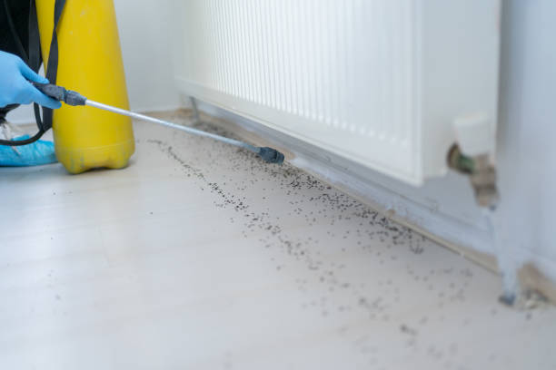 Best Mosquito Control Services  in Silver Creek, NY