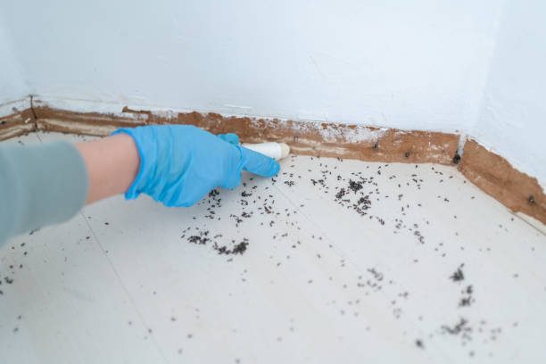 Best Pest Inspection Near Me  in Silver Creek, NY